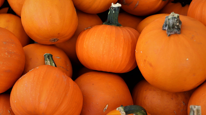 Sugar pumpkins on display at a market