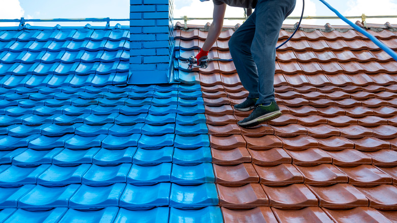 painting roof