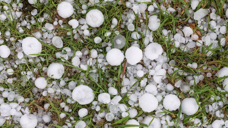 Large hail covers the ground after a severe storm