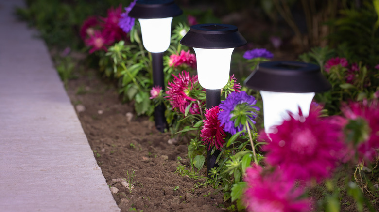 solar lamps in a garden bed