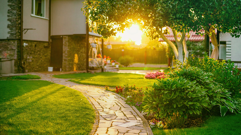 Sunset in backyard garden