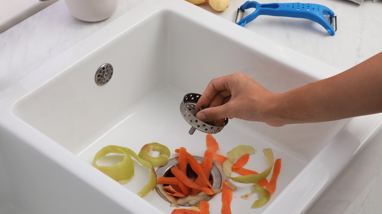 Carrot and apple shavings in a garbage disposal