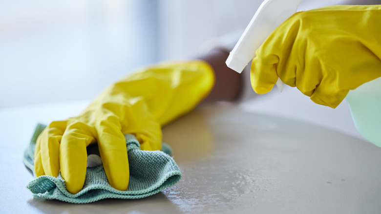 Gloved hands holding a spray bottle and cloth