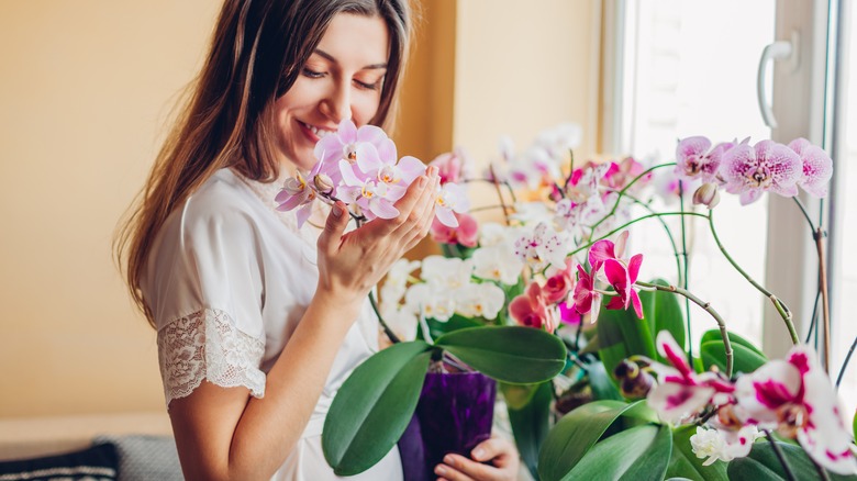 woman smelling orchid and smiling