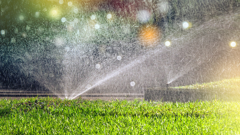 A automatic system watering a lush green lawn