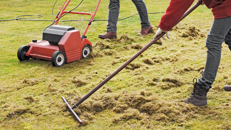 Dethatching lawn 
