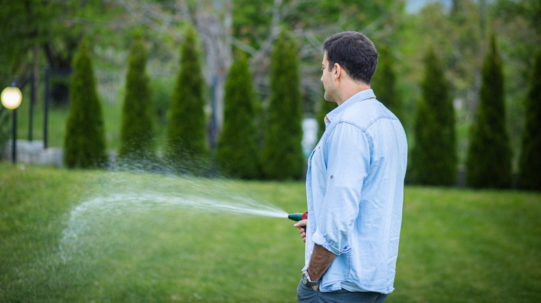 A man waters his lawn with a garden hose.