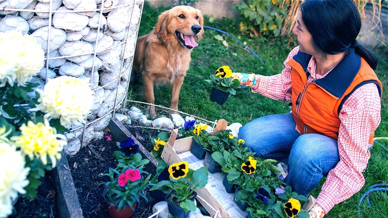 Person working on flower bed