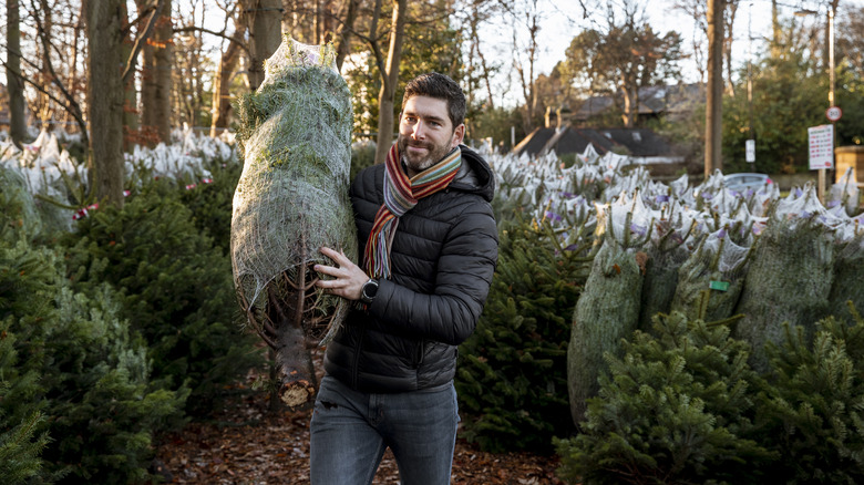 Person holding a Christmas tree