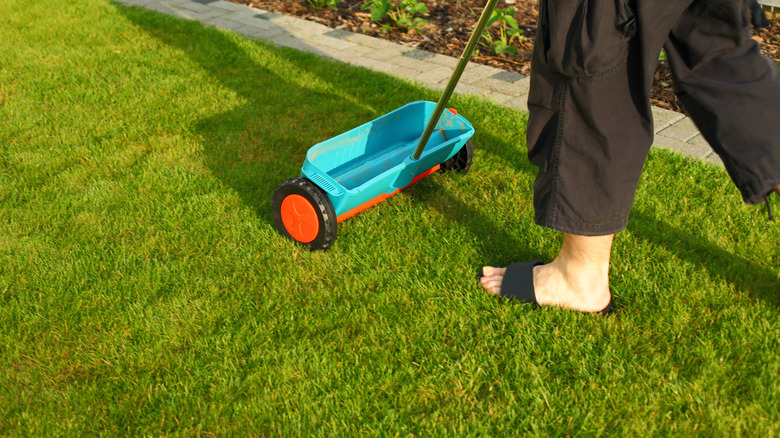 spreader on lawn grass