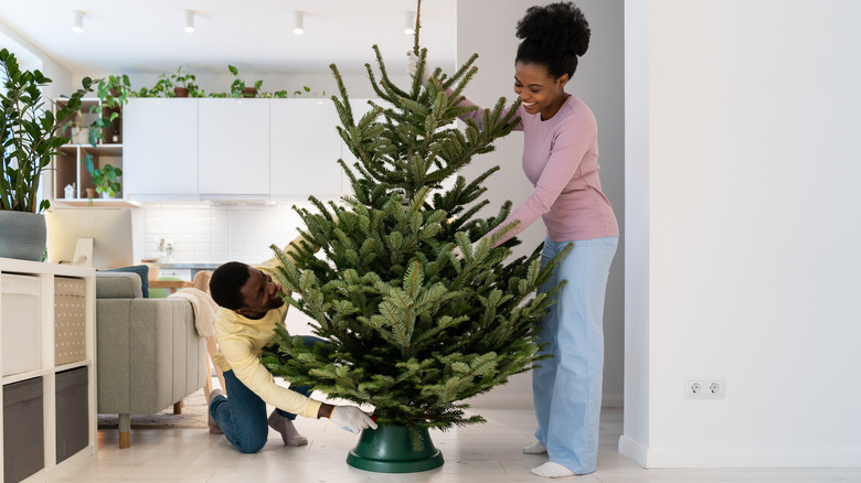Couple put a live tree into a Christmas tree stand.
