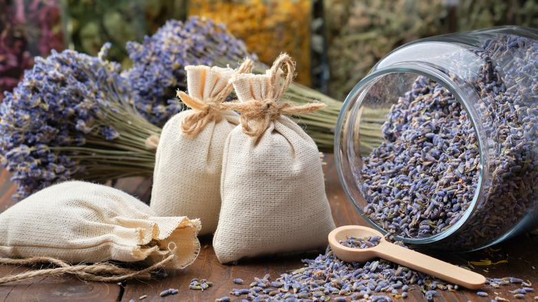 Lavender flowers in sachet form