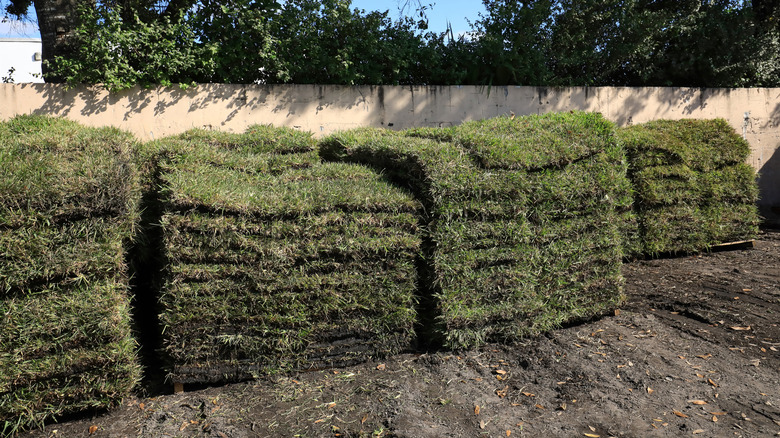 Pallets of sod ready to be used