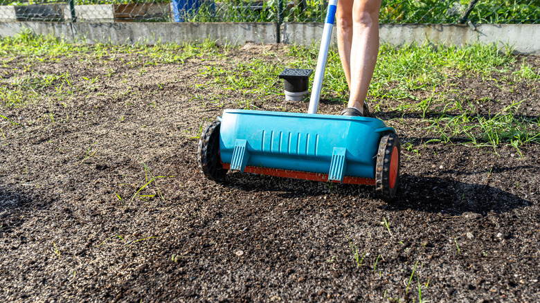 Person walking behind a lawn seeder over bare soil