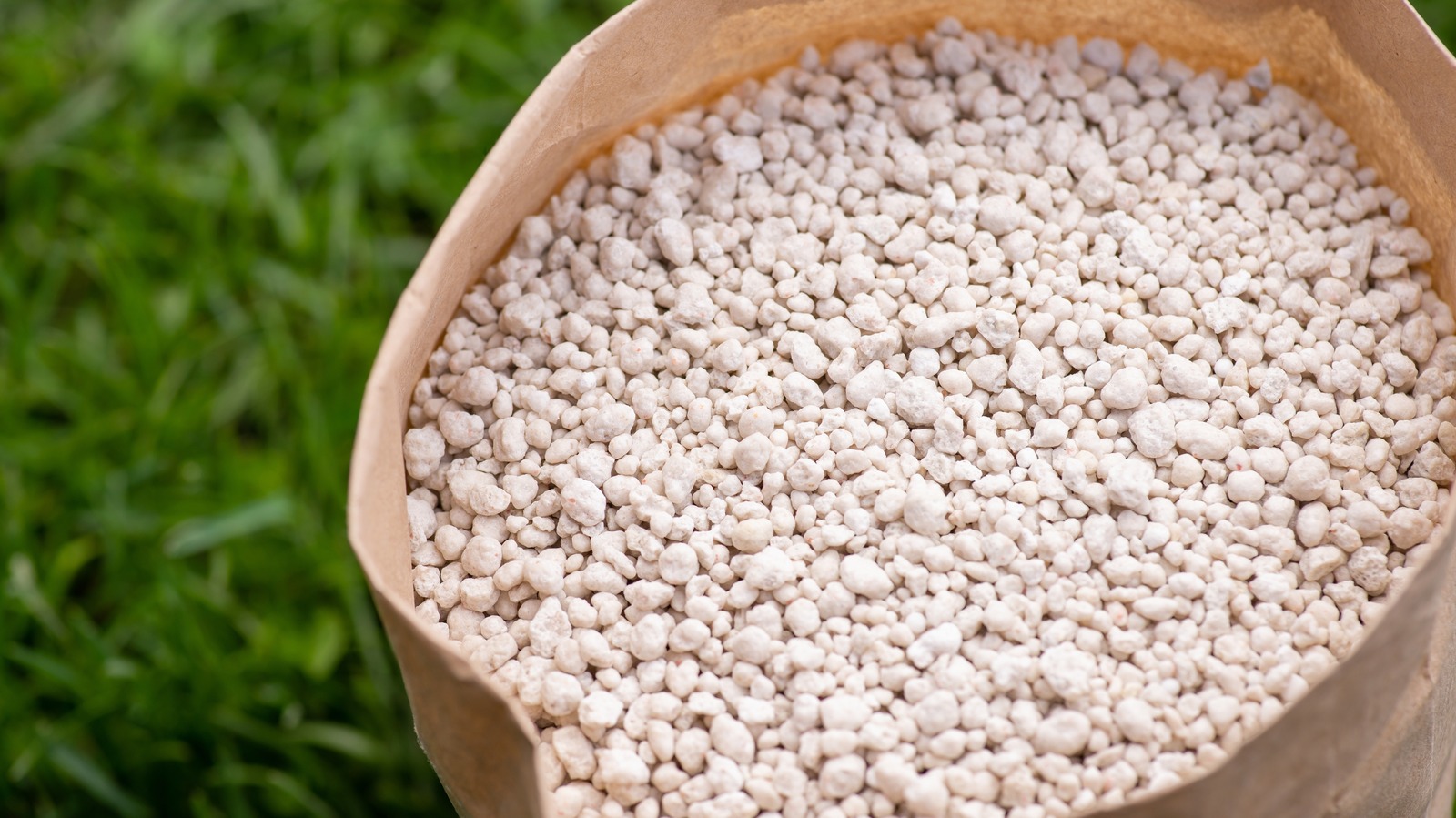 The Best Time To Use 10-10-10 Fertilizer For Your Lawn Depends On Two ...
