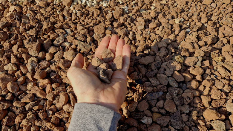 Hand holding brown rocks over a pile of brown rocks