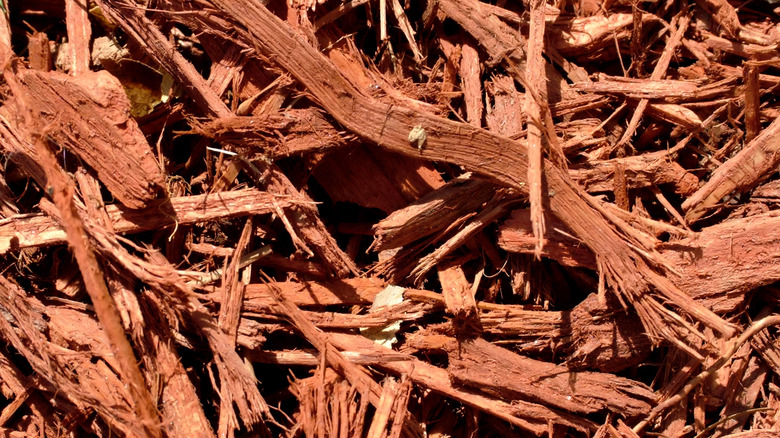 Cypress mulch in flowerbed