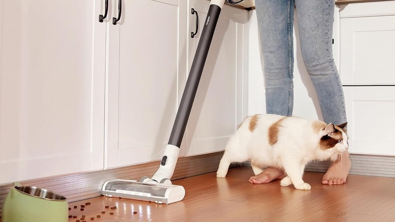 The Tineco vacuuming up spilt cat biscuits. A calico cat winds around its owner's legs as she vacuums.