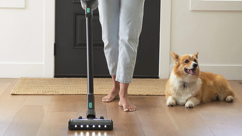 A woman in bare feet vacuuming with the Wyze while her corgi dog lies on the hard floor.