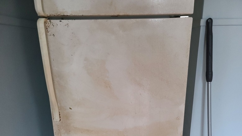 Rusty white fridge