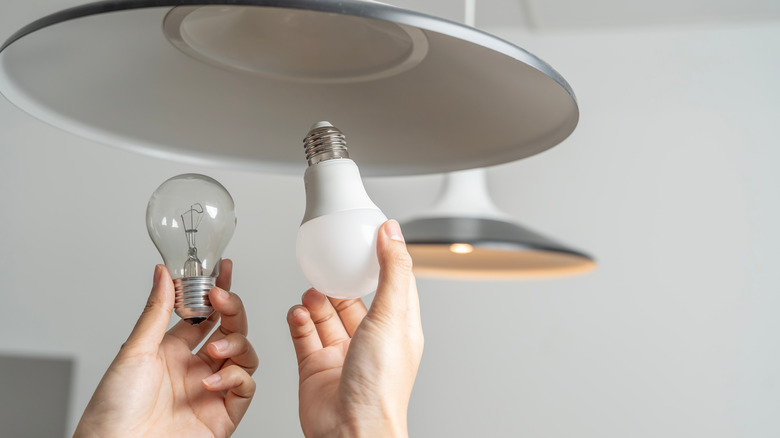 Person deciding which lightbulb is right for their new kitchen pendant light