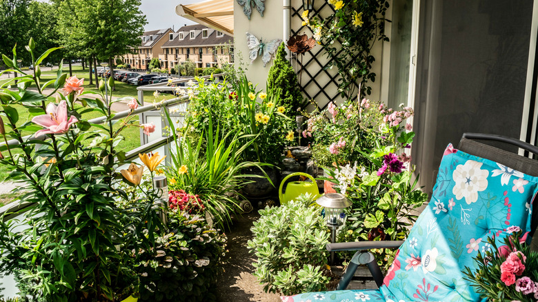 Balcony garden and seating area with several lush potted plants