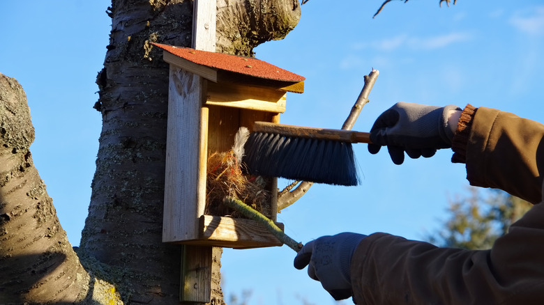 Person cleaning bird house