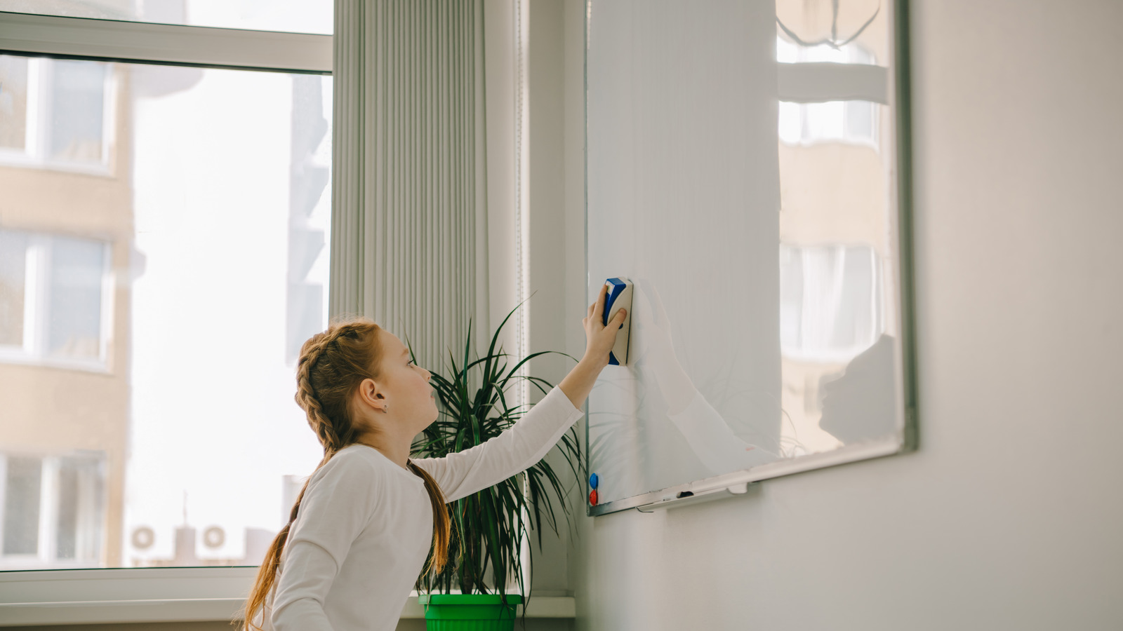 How to Clean a Dry Erase Board