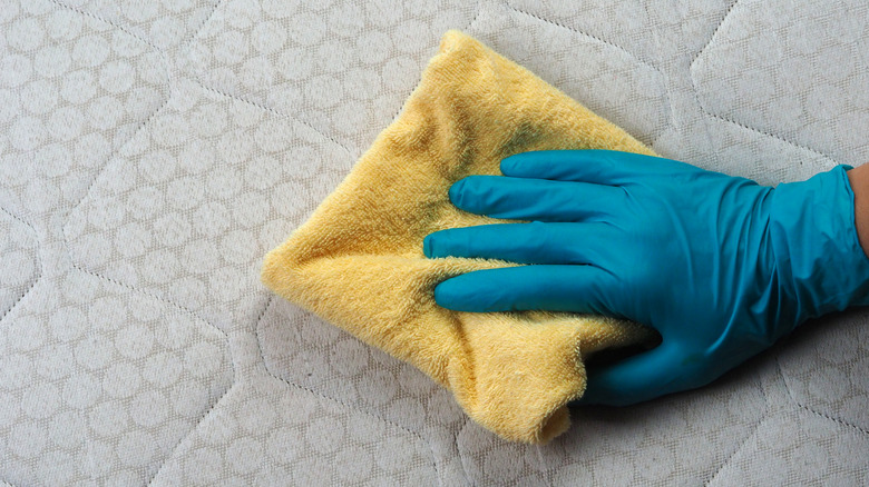 cleaning box spring