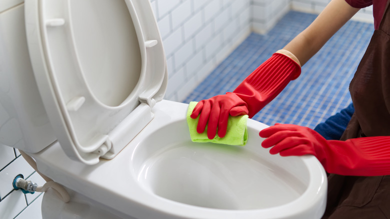 Person cleaning a toilet