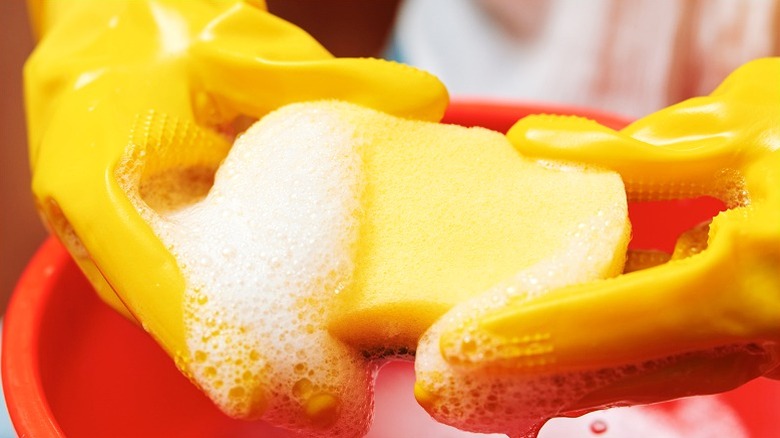 Person in yellow rubber gloves holding soapy sponge over red bucket