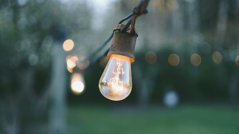 Moldy outdoor lights