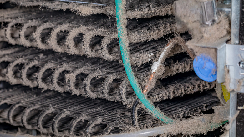 Extremely dirty refrigerator coils