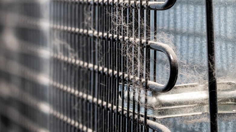 Refrigerator coils in need of cleaning