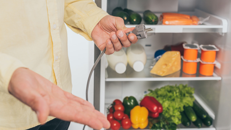 Man holding refrigerator plug