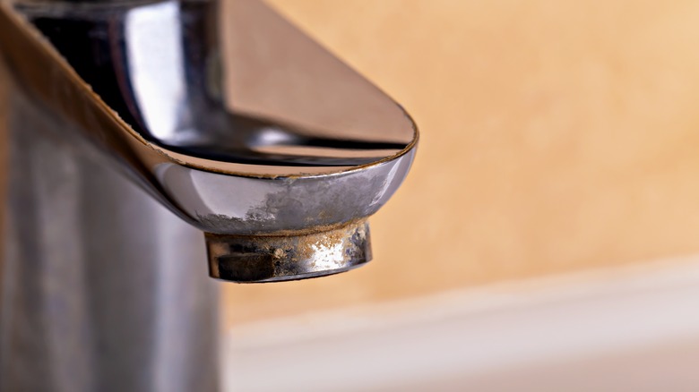 Close up of kitchen sink faucet head with brown, cloudy buildup