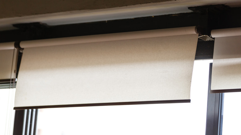 fabric roller shades