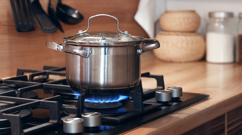 gas stove with pot