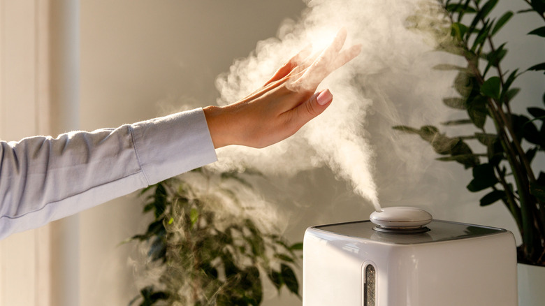 Person with hand over oil diffuser steam 