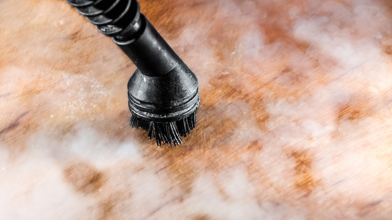 Handheld steam cleaner