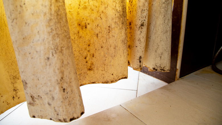 The bottom of a very dirty, plastic shower curtain liner, hanging above a tile floor