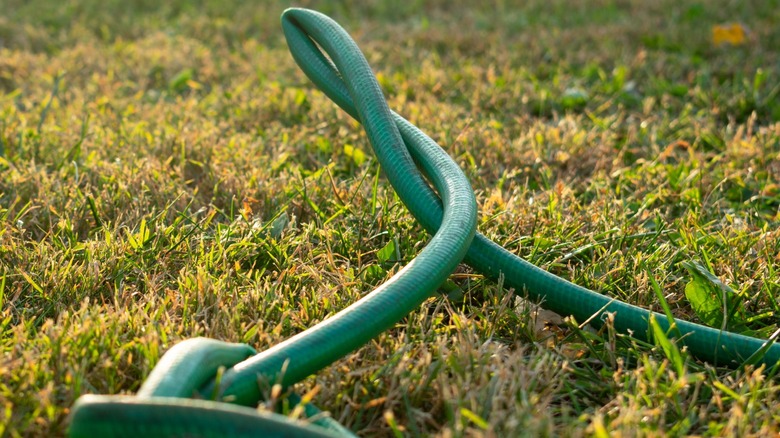 kinked and tangled garden hose
