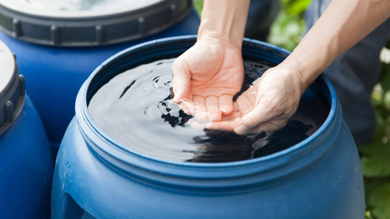Rainwater barrel