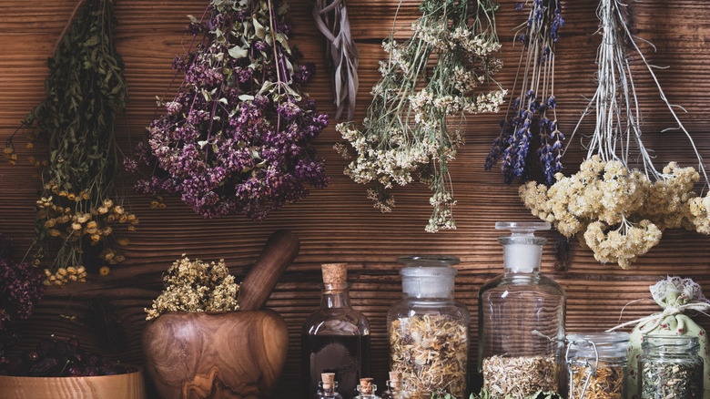 hanging dried lavender