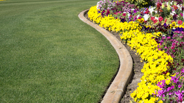 curved lawn edging border