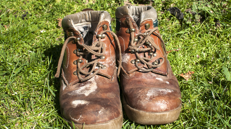 Pair of well-used brown hiking boots with mold and salt stains.