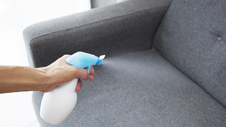 hand spraying couch with cleaner