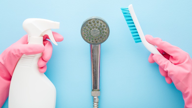 Bathroom cleaning tools