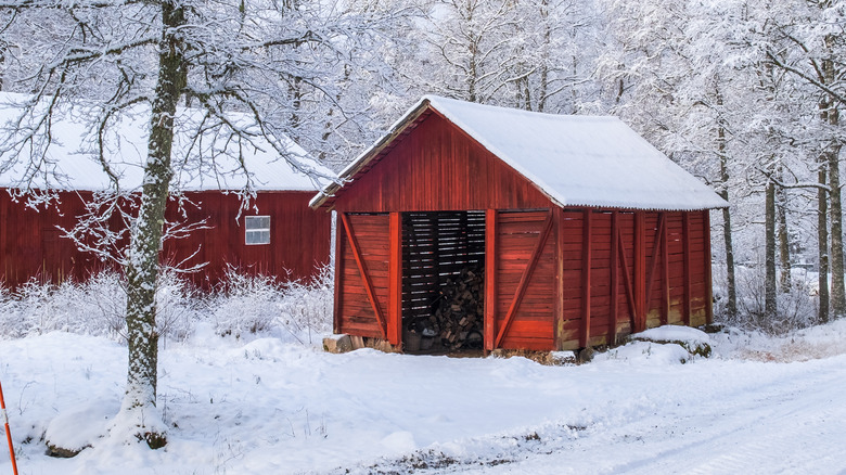 Outdoor shed in winter