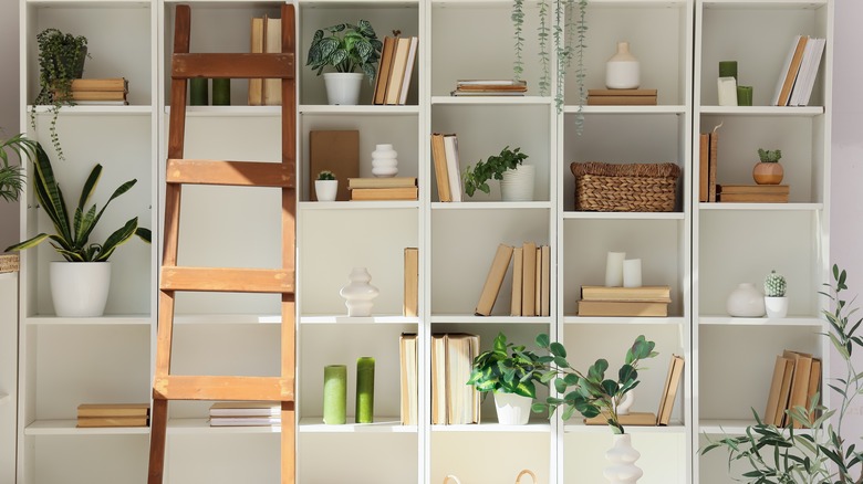 Interior of home library with shelving units with books, houseplant and ladder